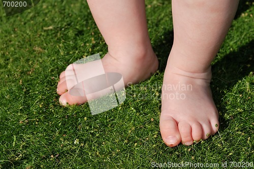 Image of baby feet on grass outdoors