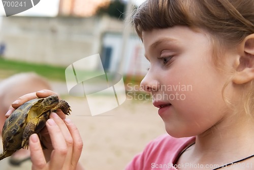 Image of little girl playing with turtle