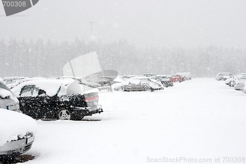 Image of Winter cars