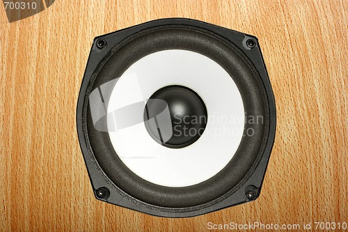 Image of Speaker