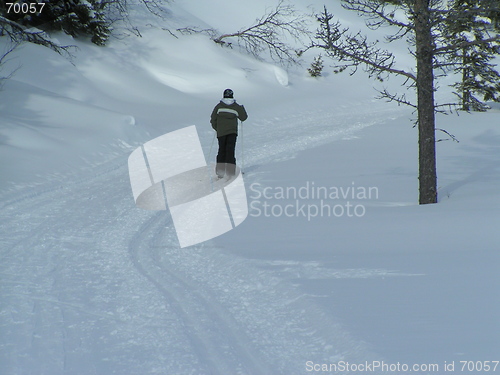 Image of crosscountry skier