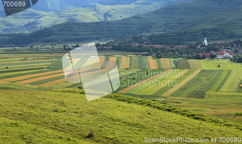 Image of Fields