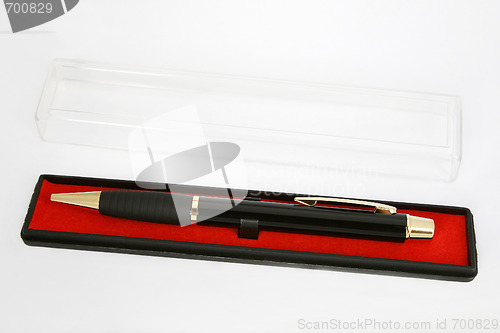 Image of Pen in encasement