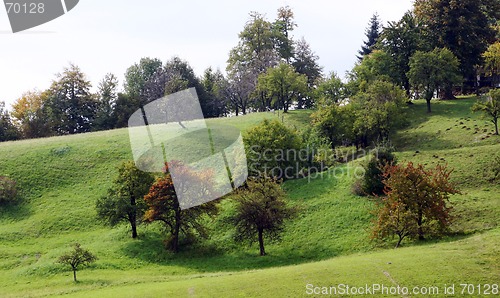 Image of slope