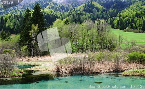 Image of source of river Sava