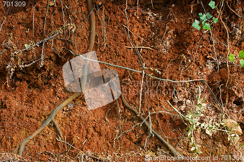 Image of Soil