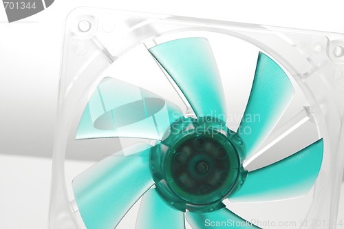 Image of Fan