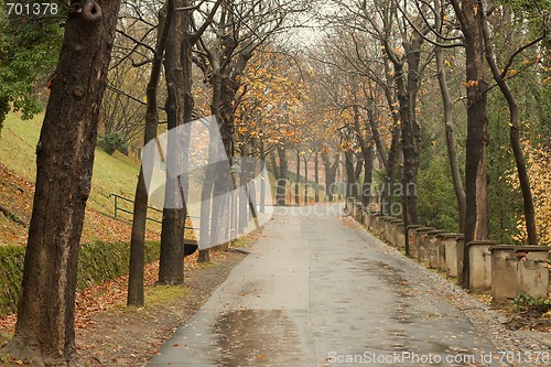 Image of Autumn