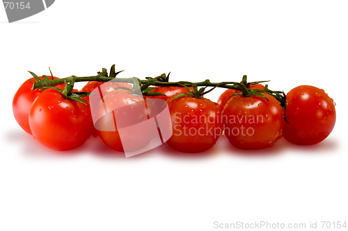 Image of Tomatoes isolated on white with clipping path