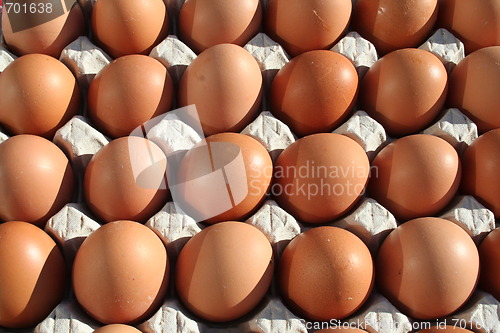 Image of Egg in paper box