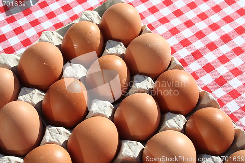 Image of Egg