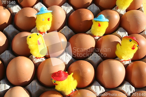 Image of Eggs with Easter chickens