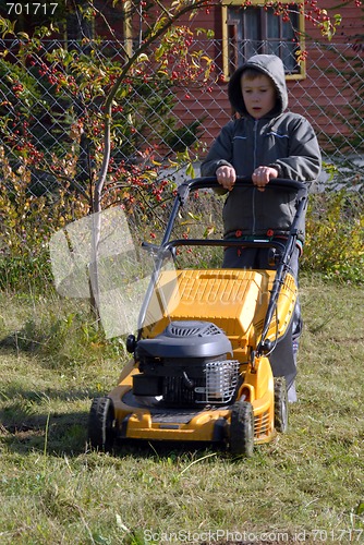 Image of mowing grass