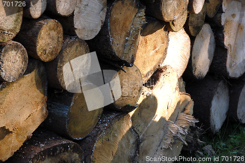 Image of pile of Wood