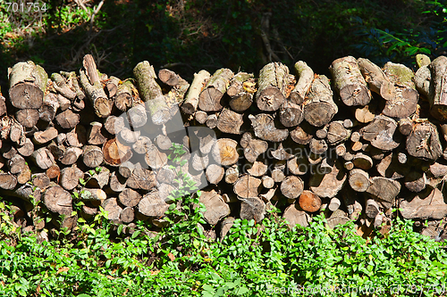 Image of Stacked timber logs - fuel for fire -