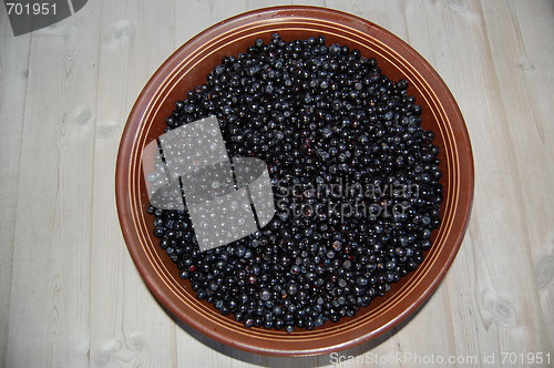 Image of Blueberry