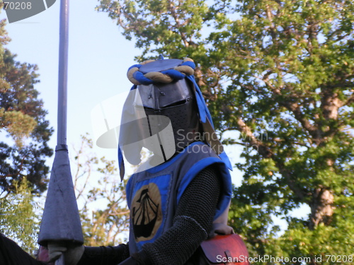 Image of blue knight