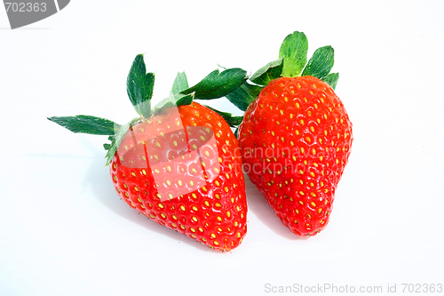 Image of Strawberry