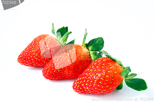Image of Strawberry