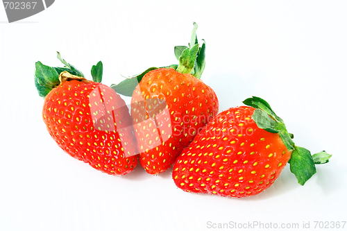 Image of Strawberry