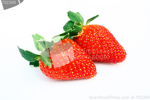Image of Strawberry