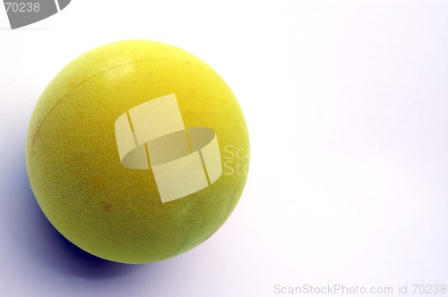Image of paddle ball