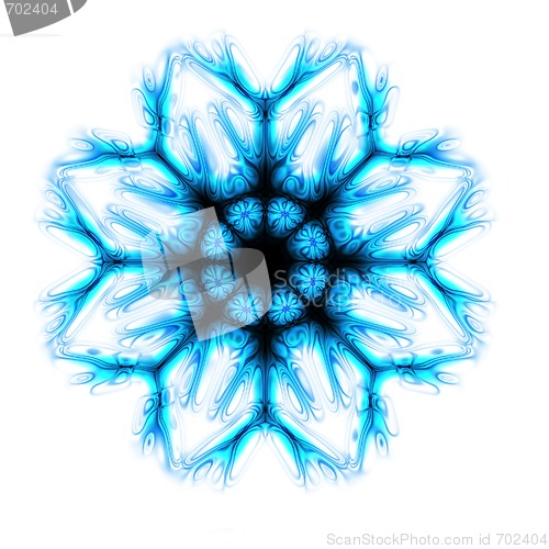 Image of snow star 