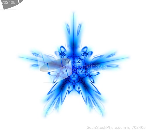 Image of snow star 