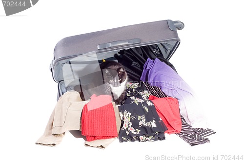 Image of Suitcase
