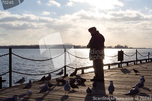 Image of Backlit Man Feeding Seagulls