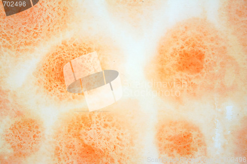 Image of Abstract watercolor background on paper texture