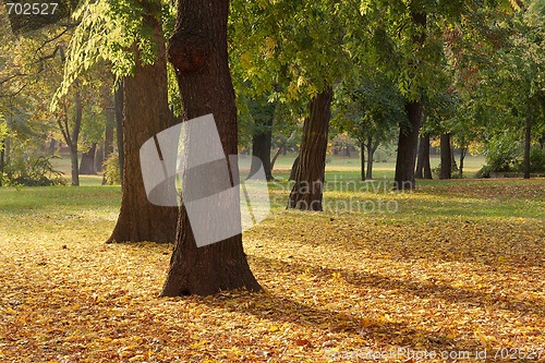 Image of Autumn park