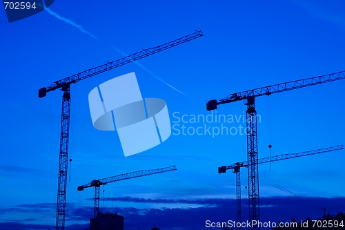 Image of Cranes