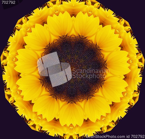 Image of sunflower abstract