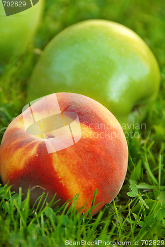 Image of Apple and peach