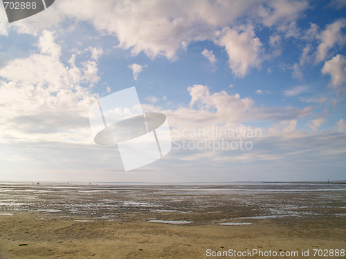 Image of low tide tideland