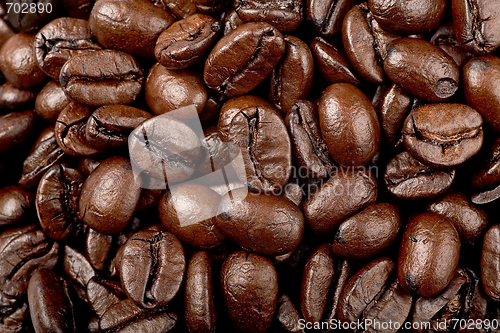 Image of coffee beans