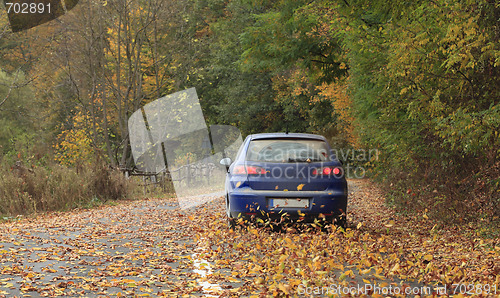 Image of Autumn drive