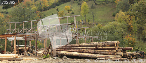 Image of Timber production place