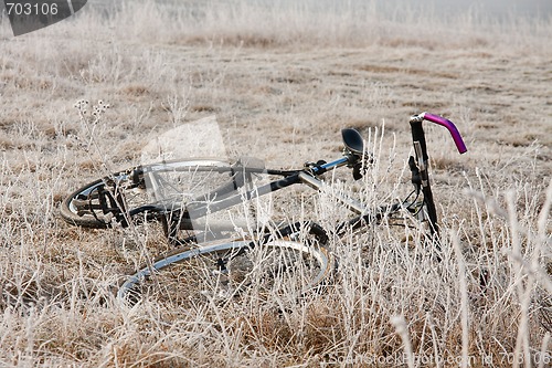 Image of Bicycle