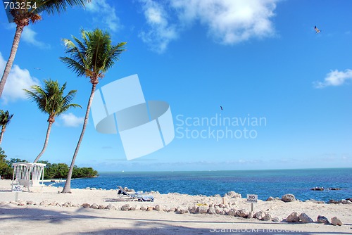 Image of Coast of The Keys, Islamorada, Florida, January 2007