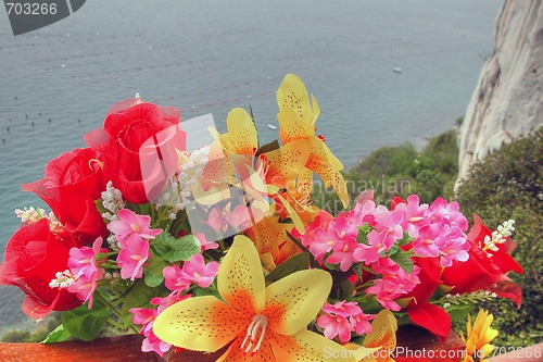 Image of Flowers on the Sea, Croatia, May 2003