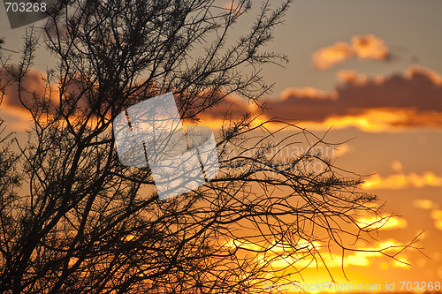 Image of Sunset at Ayers Rock, Northern Territory, Australia, August 2009