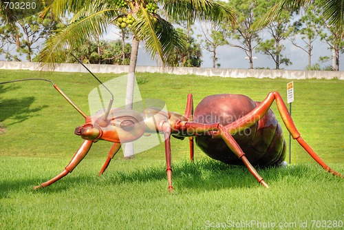 Image of Giant Ant, West Palm Beach, Florida, January 2009