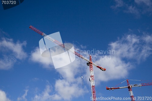 Image of Cranes