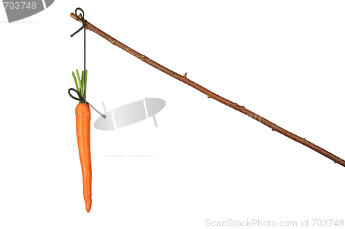 Image of Carrot