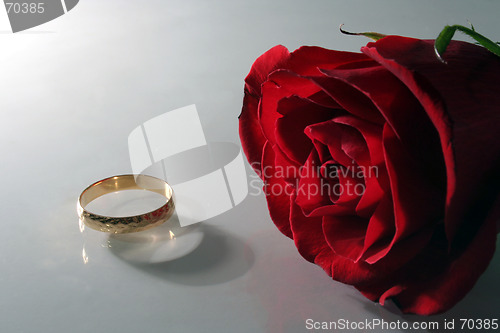 Image of Engagement Rose