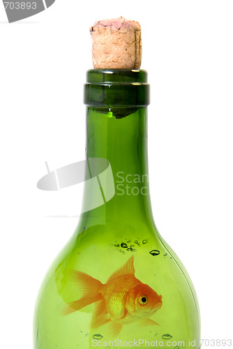 Image of Bottle of wine and goldfish