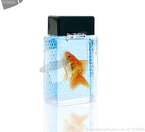 Image of perfume bottle with gold fish