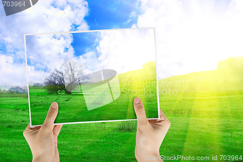 Image of photo  of  green grass and tree 